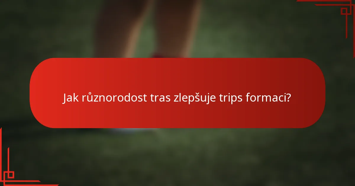 Jak různorodost tras zlepšuje trips formaci?