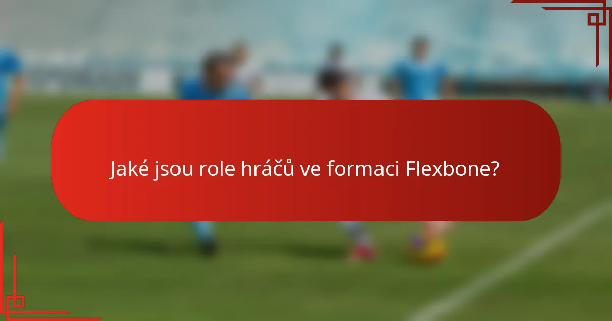 Jaké jsou role hráčů ve formaci Flexbone?